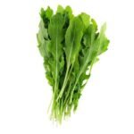 nurserylive-seeds-rocket-arugula-wild-cut-herb-seeds-16969117270156